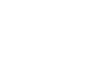SIGNE - Copie (3)